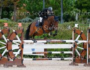 Demaria Cosima FZ GioCav2013 S5 1112 : Campionati Italiani Giovani Cavalli, Cattolica, Cosima FZ, Demaria Luca, ph Stefano Secchi ©